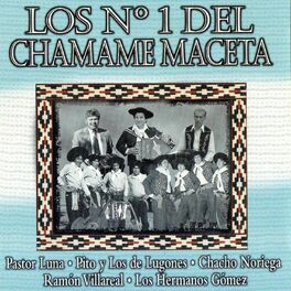 Album cover of Los N°1 del Chamame Maceta