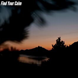 Album cover of Find Your Calm