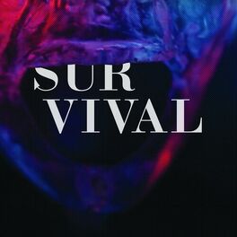 Album cover of Sinan: Survival