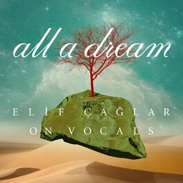 Album cover of Elif Çağlar on Vocals: All a Dream
