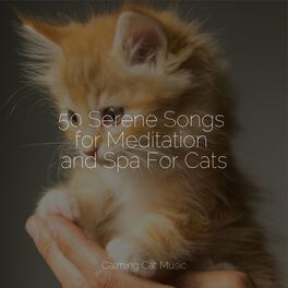 Album cover of 50 Serene Songs for Meditation and Spa For Cats