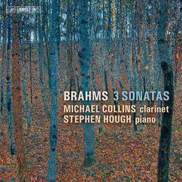 Album cover of Brahms: 3 Sonatas