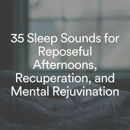 Album cover of 35 Sleep Sounds for Reposeful Afternoons, Recuperation, and Mental Rejuvination