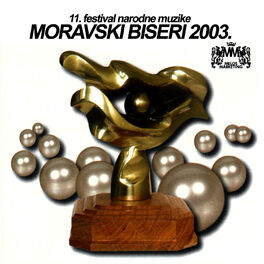 Album cover of 11. Festival Narodne Muzike Moravski Biseri 2003