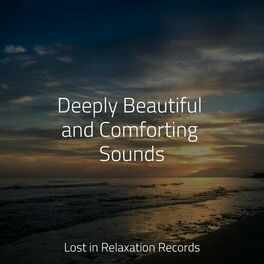 Album cover of Deeply Beautiful and Comforting Sounds
