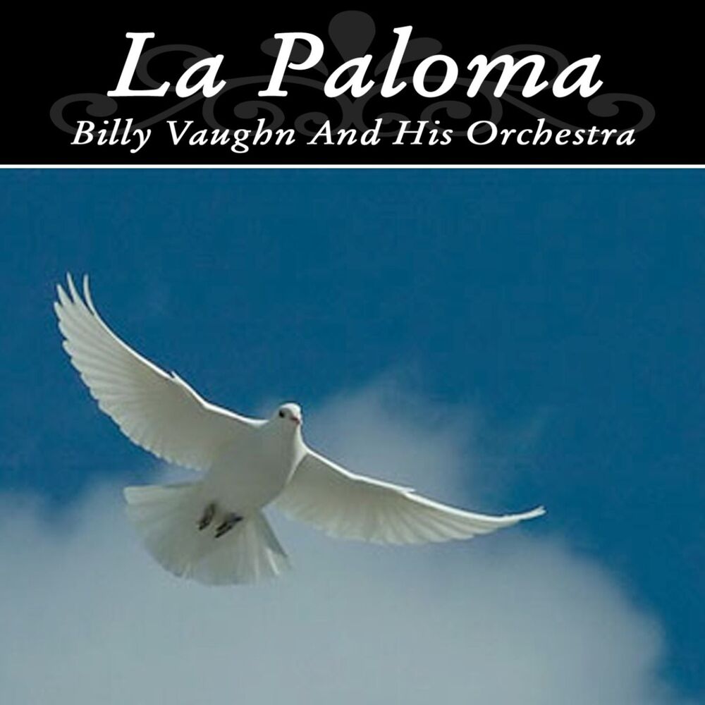 Paloma текст. Billy Vaughn