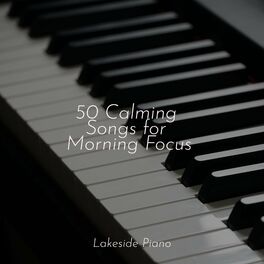 Album cover of 50 Calming Songs for Morning Focus
