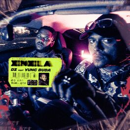 Album cover of Xinxila