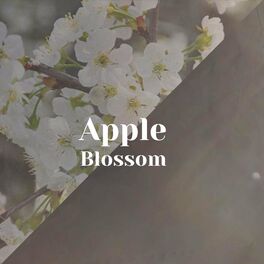 Album cover of Apple Blossom