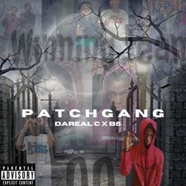 Album cover of Patchgang