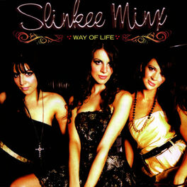 Album cover of Way of Life