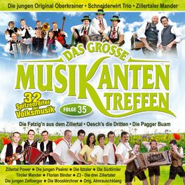 Album cover of Das große Musikantentreffen - Folge 35