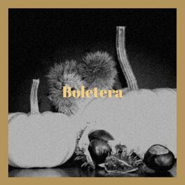Album cover of Boletera