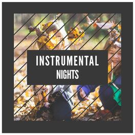 Album cover of # 1 Album: Instrumental Nights