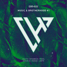 Album cover of Music & Brotherhood #1