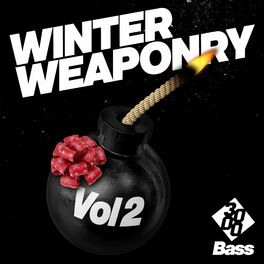 Album cover of Winter Weaponry Vol. 2