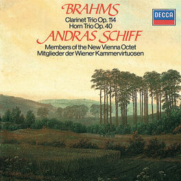 Album cover of Brahms: Clarinet Trio; Horn Trio