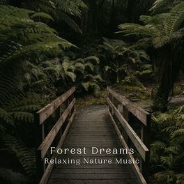 Album cover of Forest Dreams: Relaxing Nature Music