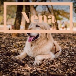 Album cover of Nena