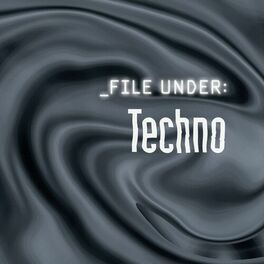 Album cover of File Under: Techno