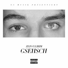 Album cover of Gsehsch (feat. ZEZO)