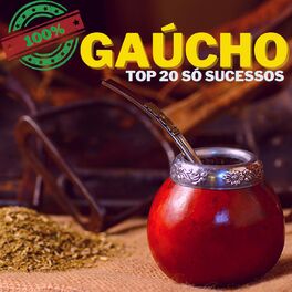 Album cover of 100% Gaúcho - Top 20 Só Sucessos