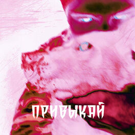 Album cover of Привыкай