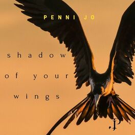 Album cover of Shadow of Your Wings