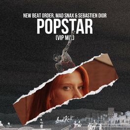 Album cover of Popstar (VIP Mix)