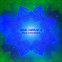 Album cover of Soul Nektar 2