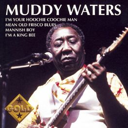 Album cover of Muddy Waters