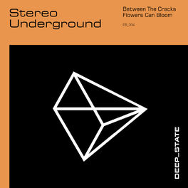 Album picture of Stereo Underground