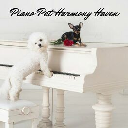 Album cover of Piano Pet Harmony Haven