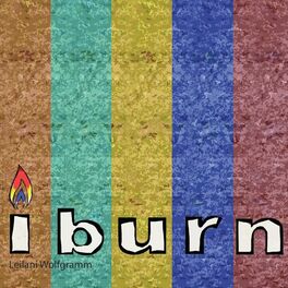 Album cover of I Burn