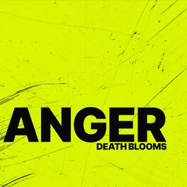 Album cover of Anger