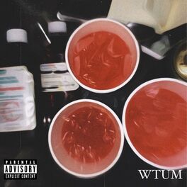 Album cover of Wtum