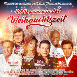 Album cover of Willkommen in der Weihnachtszeit