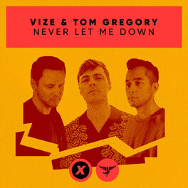 Album cover of Never Let Me Down