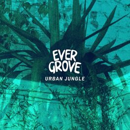 Album cover of Urban Jungle