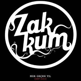Album cover of Her Geçen Yıl (2007 - 2013)