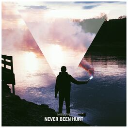 Album cover of Never Been Hurt