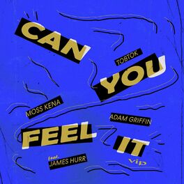 Album cover of Can You Feel It (feat. James Hurr) [VIP Mix]