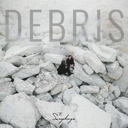 Album cover of Debris