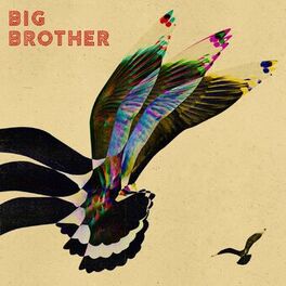 Album cover of Big Brother