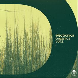 Album cover of Electrónica Orgánica, Vol. 2: Día