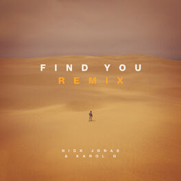 Album cover of Find You (Remix)
