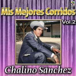 Album cover of Colección De Oro: Mis Mejores Corridos, Vol. 2