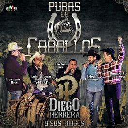 Album cover of Diego Herrera y Sus Amigos - Puras de Caballos