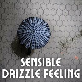 Album cover of Sensible Drizzle Feeling