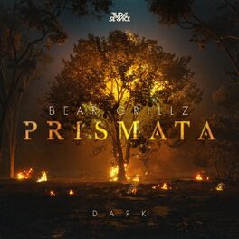 Album cover of Prismata (Dark)